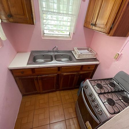 Little Shaw Park Guest House Очо-Ріос Екстер'єр фото
